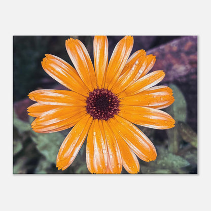 da8a5b6d-8358-4d71-870c-cdfe81fb13ab