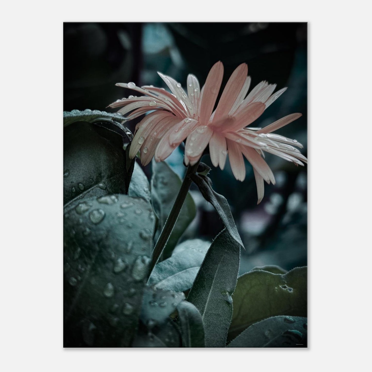 da932ec7-4387-45c4-8cf7-e4c87d7c925f