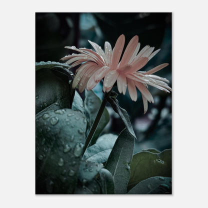 da932ec7-4387-45c4-8cf7-e4c87d7c925f