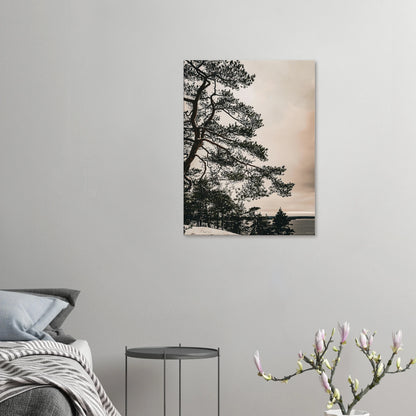 dab377b2-335d-4257-aaa5-844107c64078