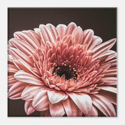 dab7e6af-0842-4833-822e-9024fee09523