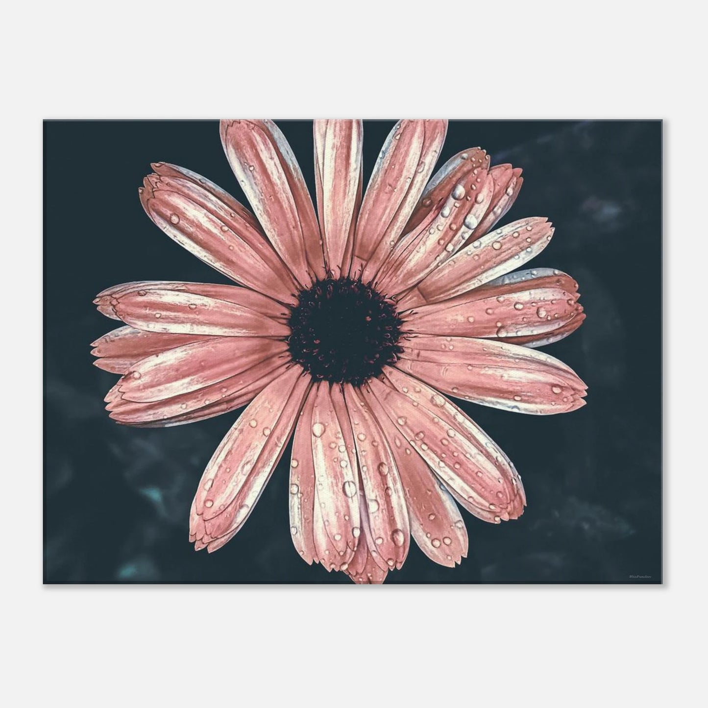 dab982d6-da7f-405c-9d61-424f3e72f24d