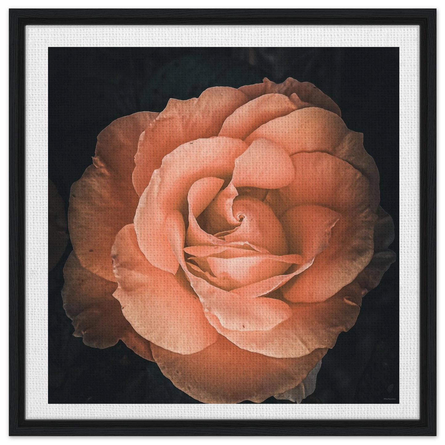 dade6f58-35c7-4bb3-b34e-c501b28f2249