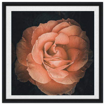 dade6f58-35c7-4bb3-b34e-c501b28f2249