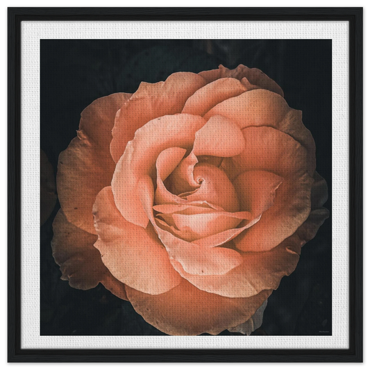 dade6f58-35c7-4bb3-b34e-c501b28f2249