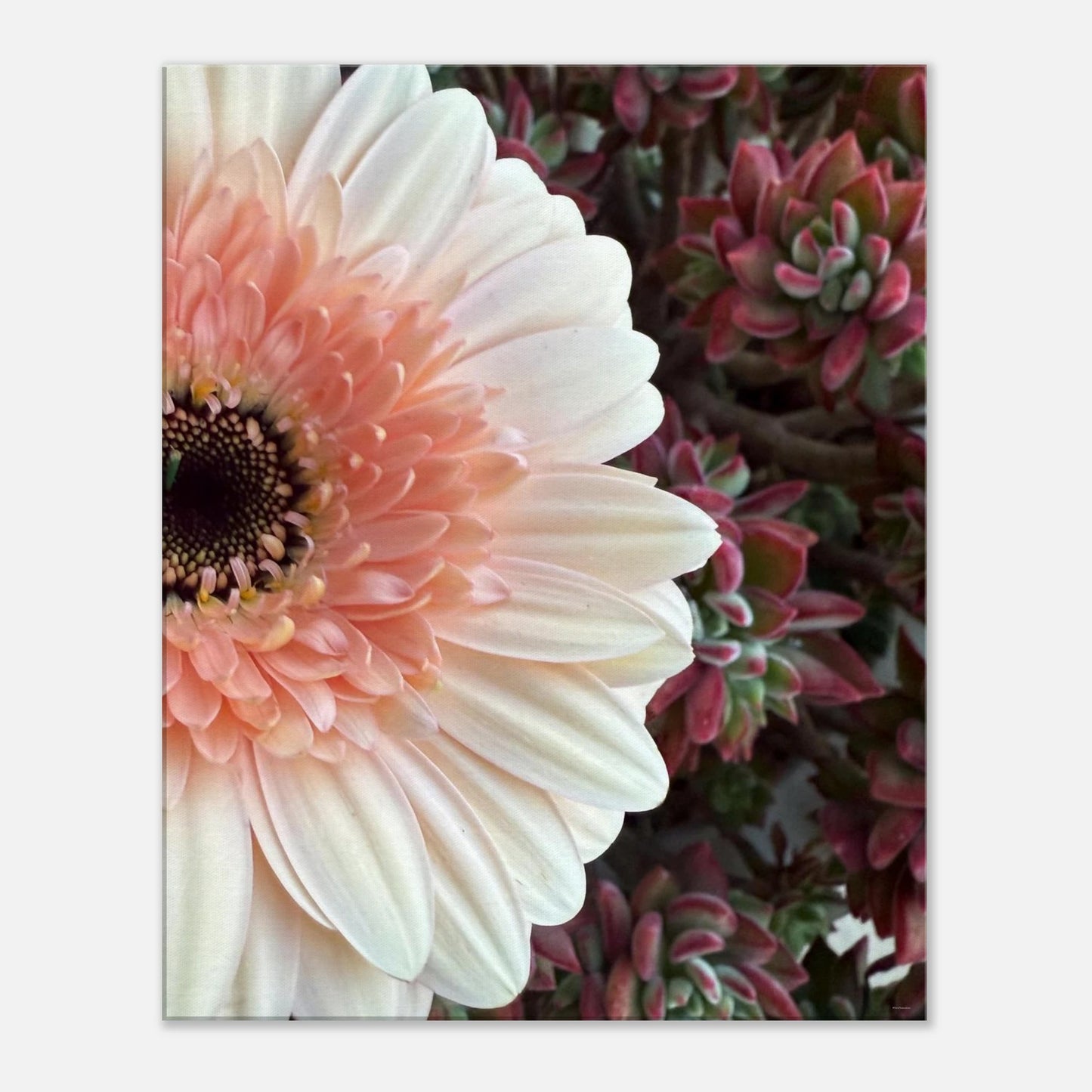 daec4c96-e436-4058-93d9-0afc13572c93