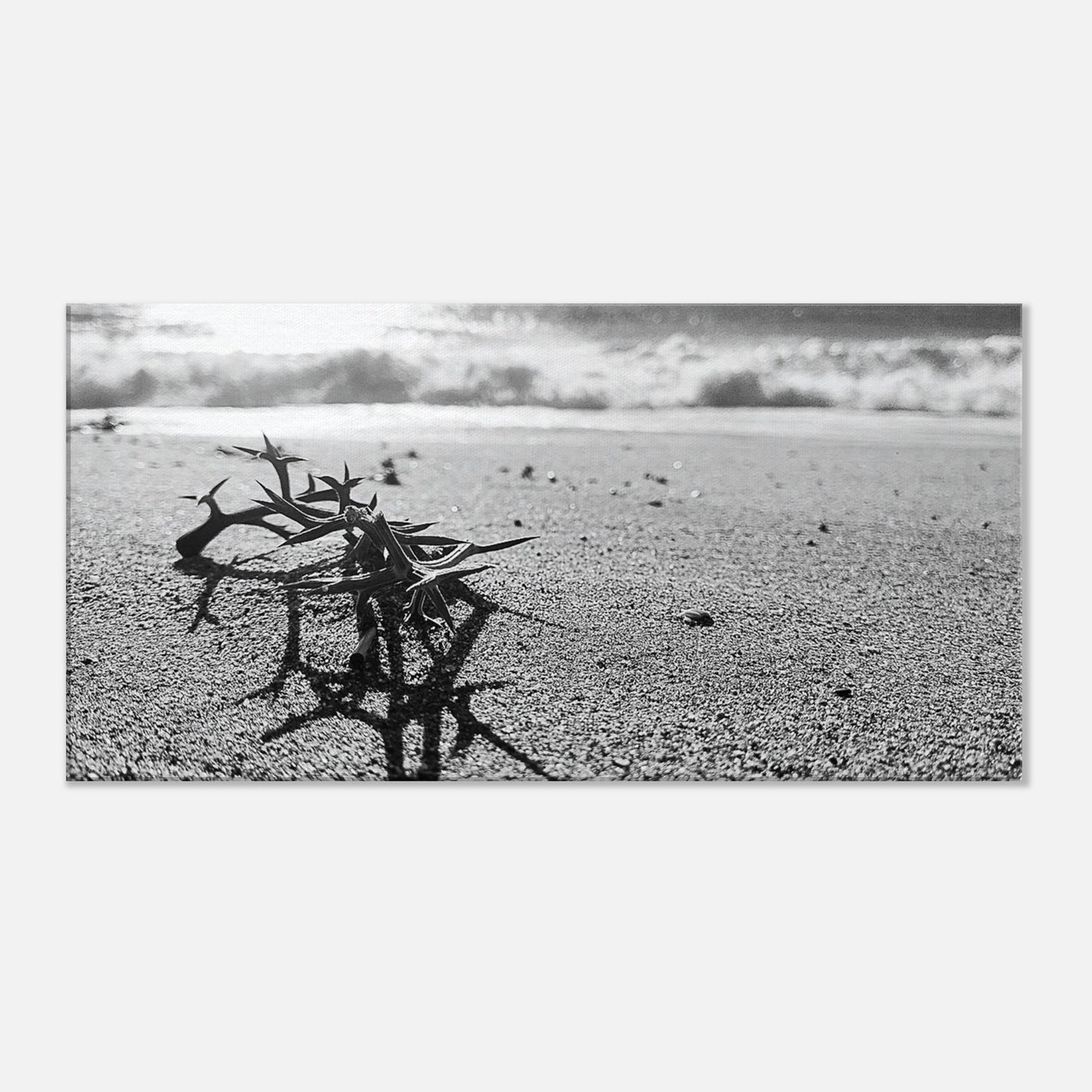 db00d9f9-9abd-4b97-a8a5-bac974f9dcdb