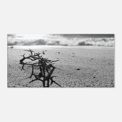 db00d9f9-9abd-4b97-a8a5-bac974f9dcdb