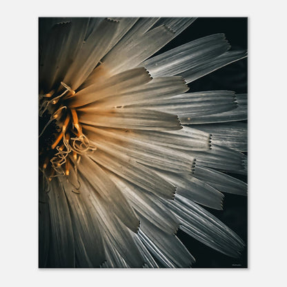 db1ac3a5-f07c-4002-ad61-e5e94a69a6b7