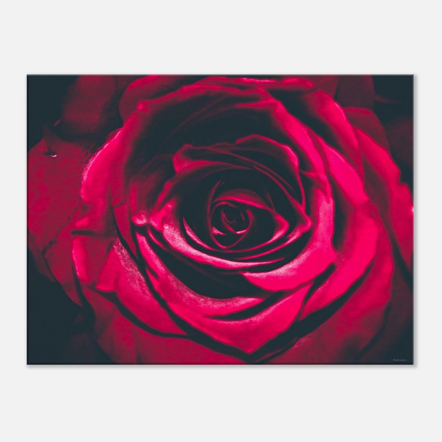 db27f3d5-80ad-4cc6-926e-66d5190f521c