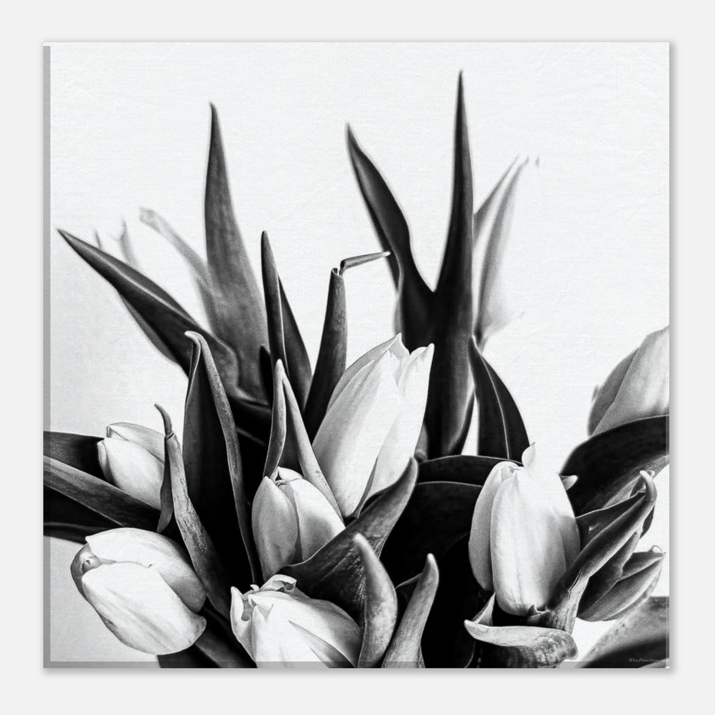 db476b1d-02be-428e-b71f-18250588ffaf