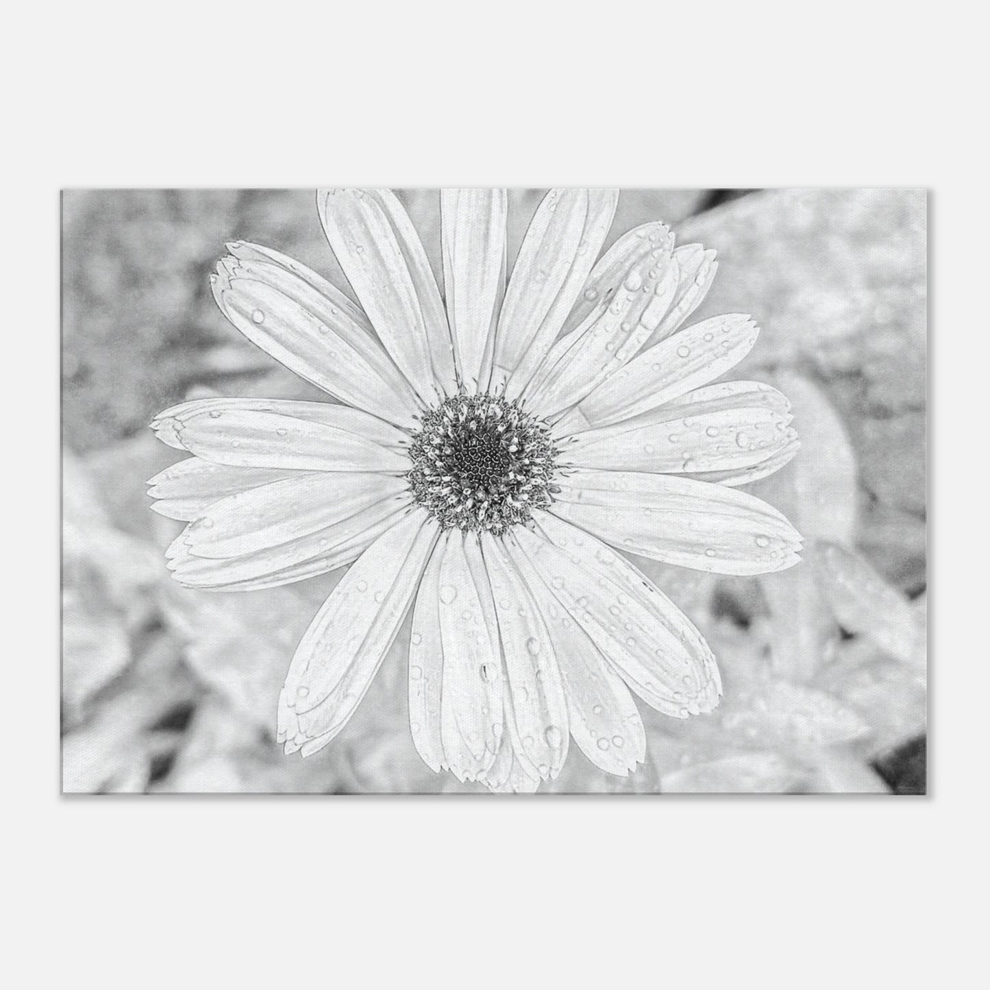 db606492-9ba1-4aed-a8dd-0bf06b76f4e4