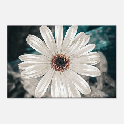 db61dc30-ef68-4bcf-9ec1-6848a8b54091