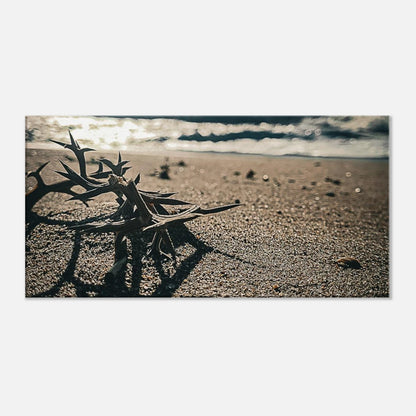 db6481f0-3e76-4c2c-8843-8965a8f601e5