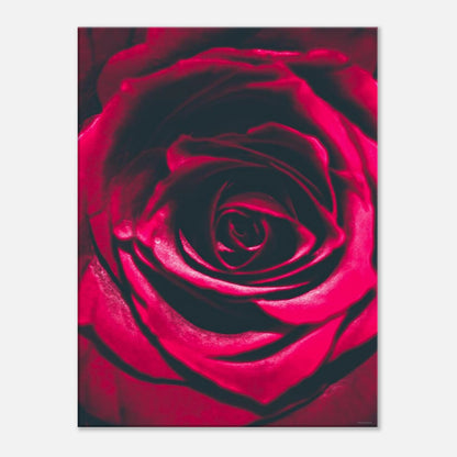 db6cdee7-dee8-463a-a178-abd046e54d39