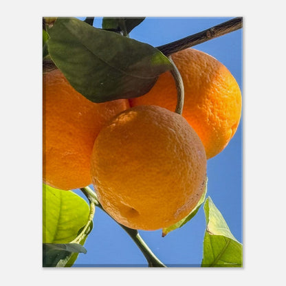 db88f798-0791-4be6-9ca5-4cfd26be1739