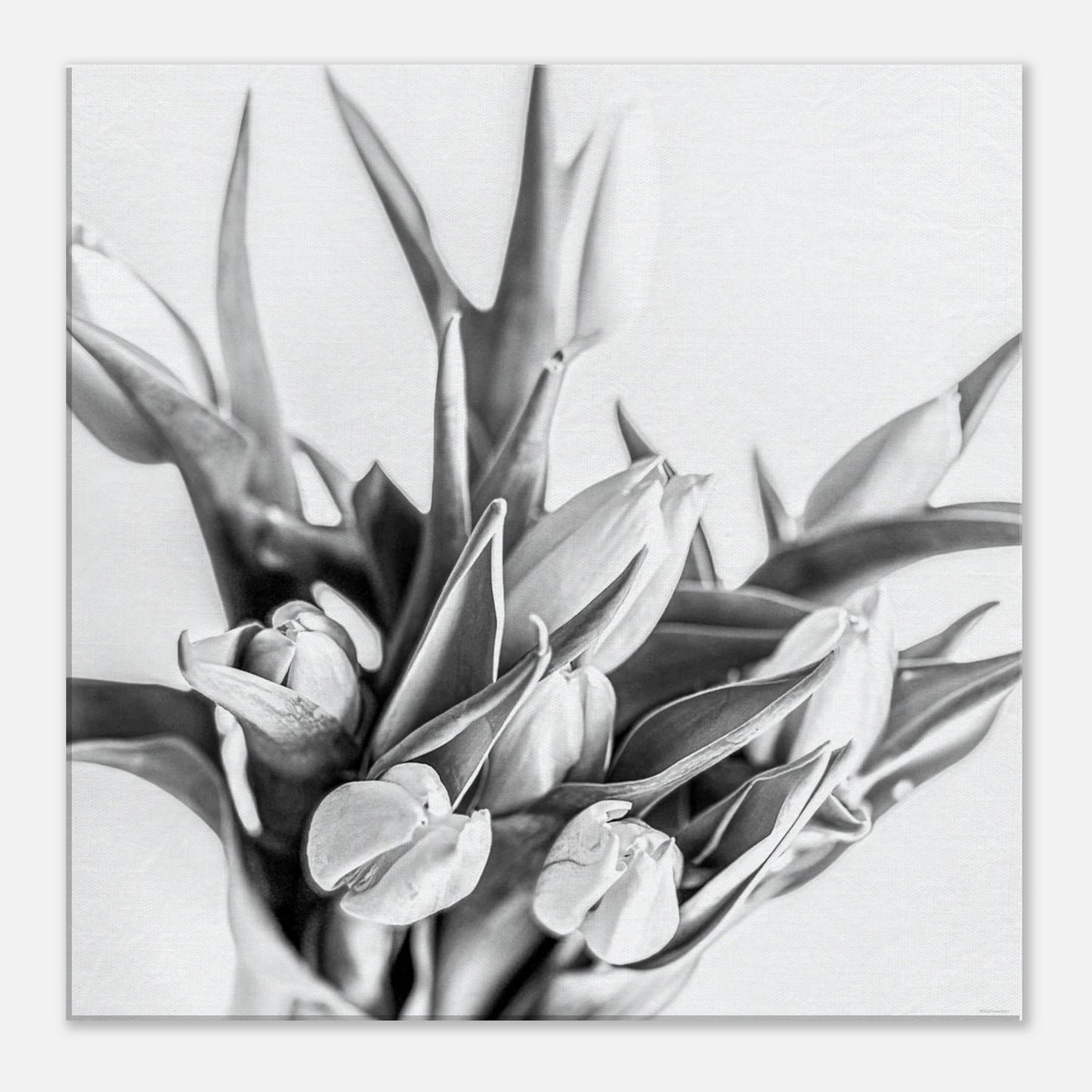 db98f78c-8ccb-4eb0-806c-a3abb4a3eea9