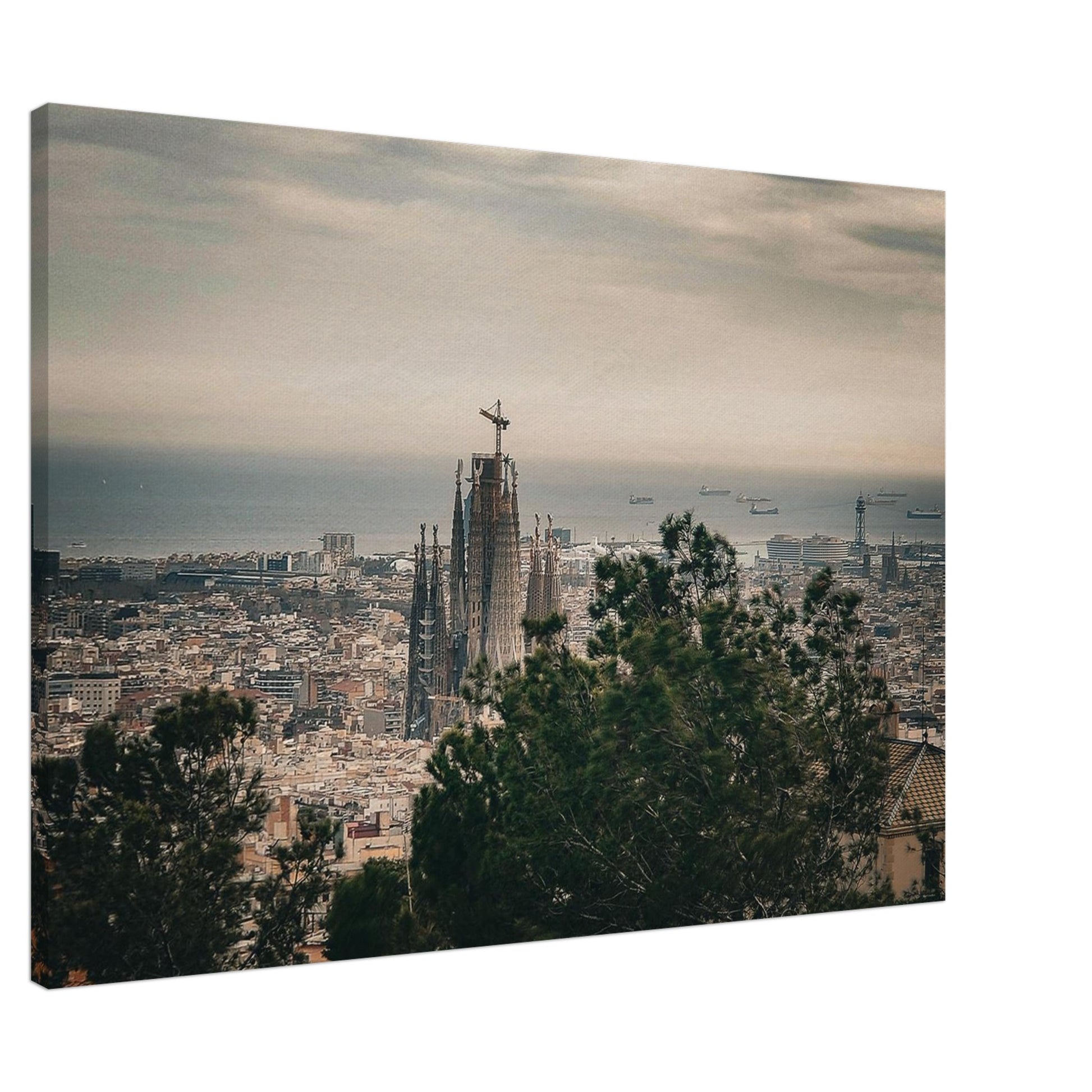 dbafae6d-3f74-4359-8e6e-be910cab1a8e