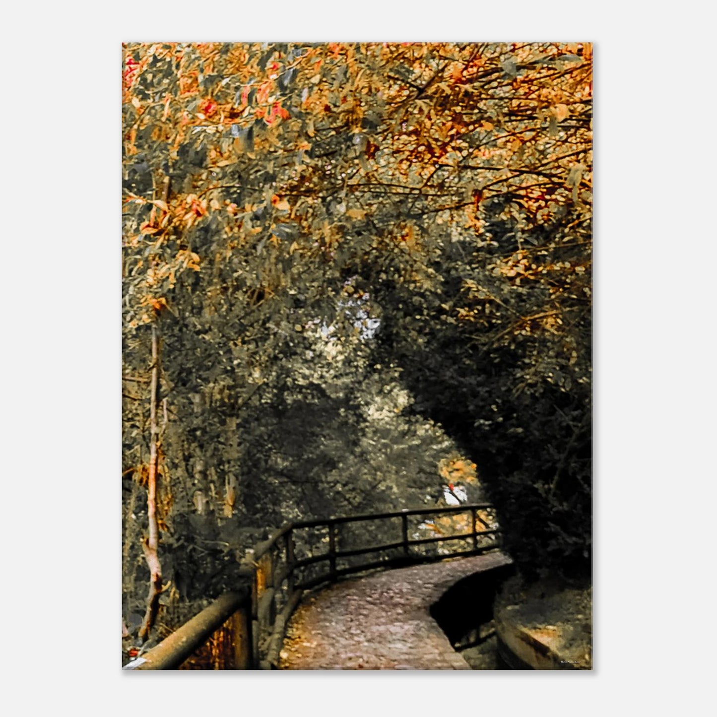 dbc3bb9a-5ad9-4ae9-bcf1-529df586618e