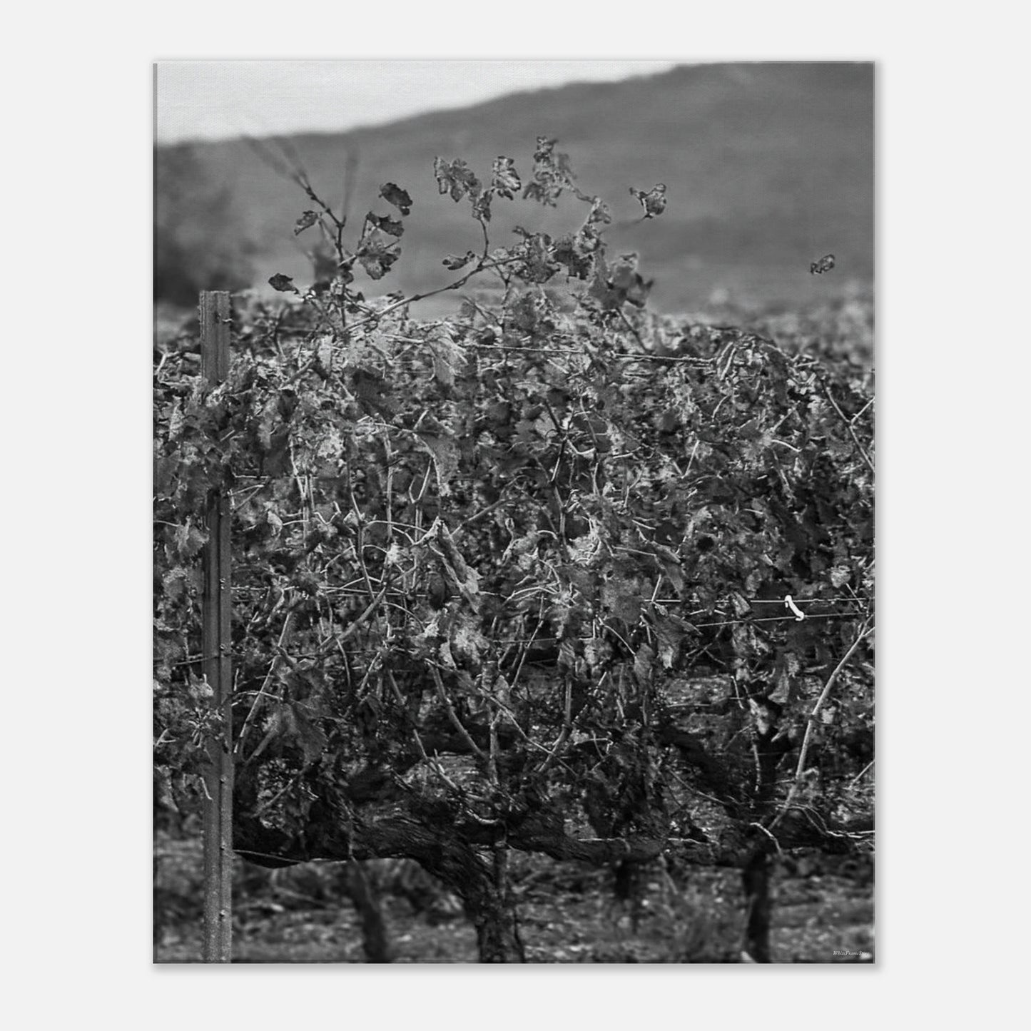 dbd50880-96a7-4c59-b61c-6f5f6b4e3b84