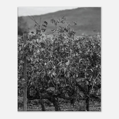 dbd50880-96a7-4c59-b61c-6f5f6b4e3b84