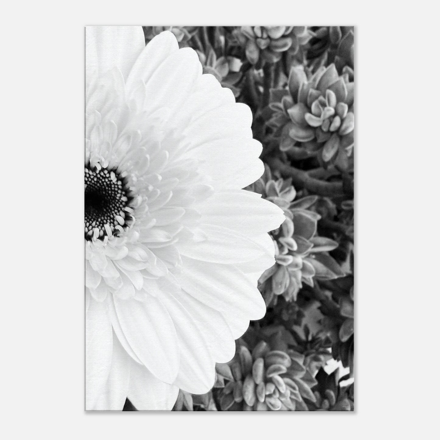 dbf3dd12-ffdf-4f2a-bfde-339763f9495f