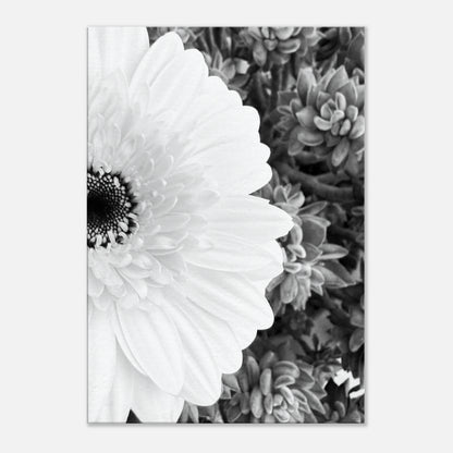 dbf3dd12-ffdf-4f2a-bfde-339763f9495f