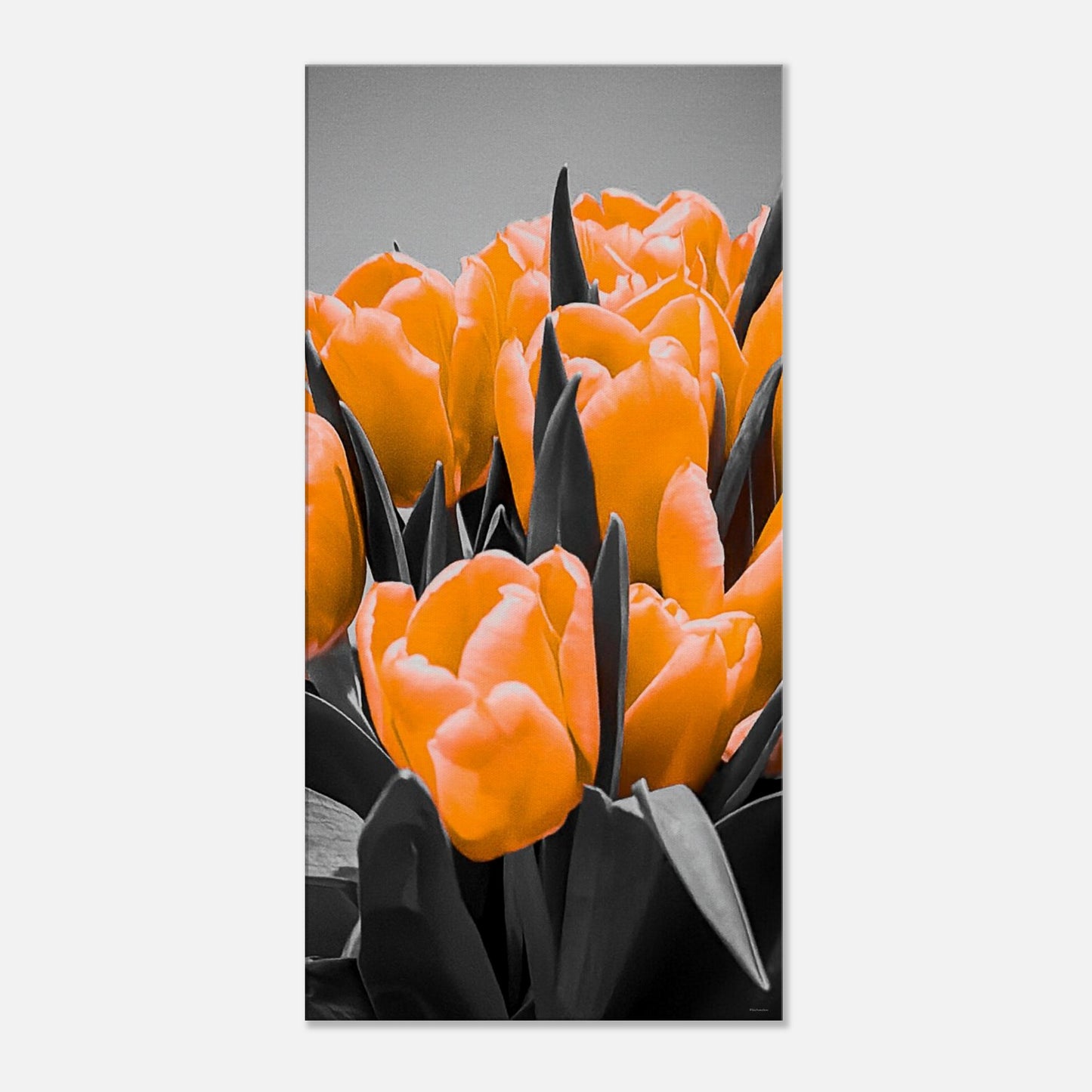 dc013d8a-3397-4213-bd8f-2cd2de9a68f1