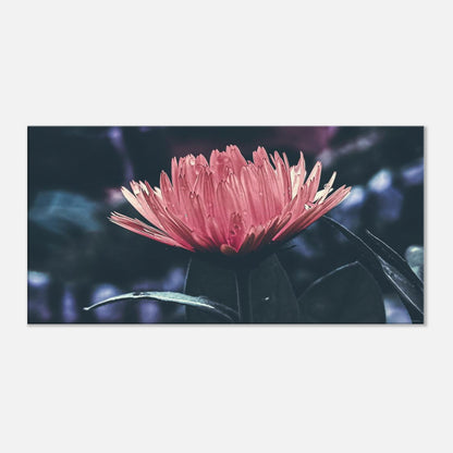 dc416f47-94e5-4a0f-a196-021400b41237