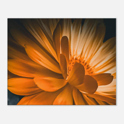 dc44f33d-f4bc-4668-85d0-b9bfcfc264cc