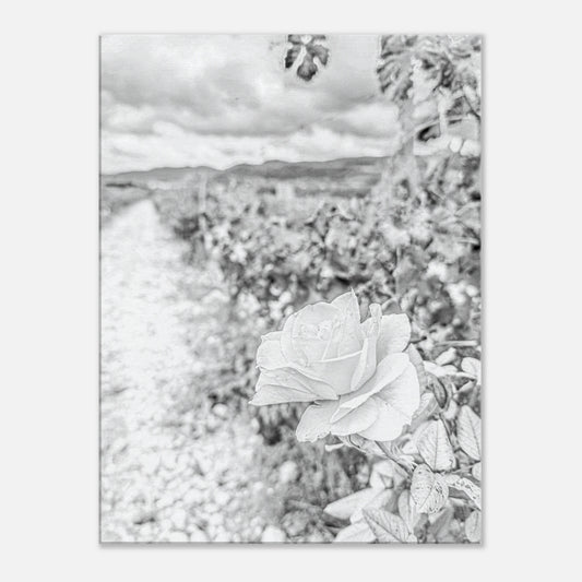 dcb4c53b-69c6-487e-856a-6e513c0d399d