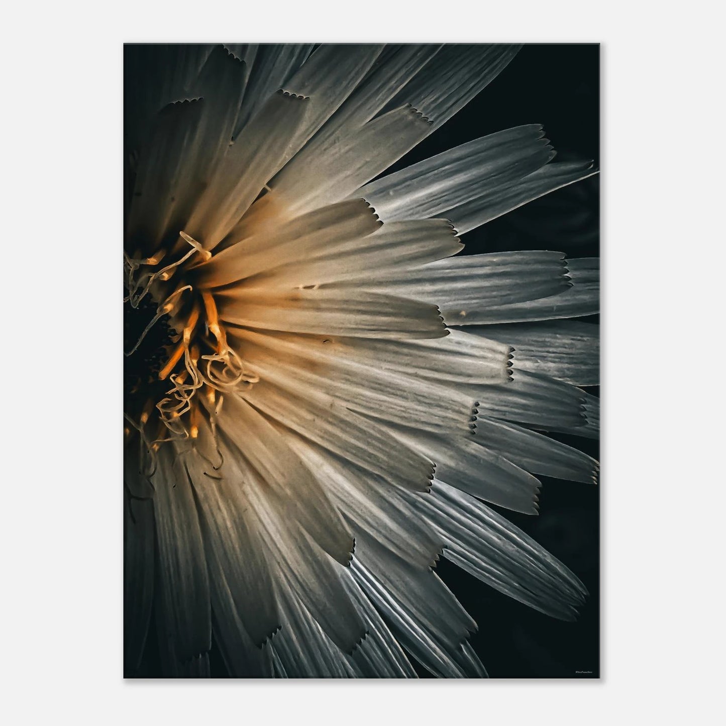 dcd232e6-49a4-406f-b17a-236a47896c02