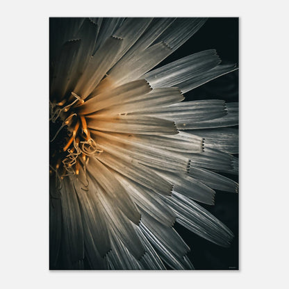 dcd232e6-49a4-406f-b17a-236a47896c02