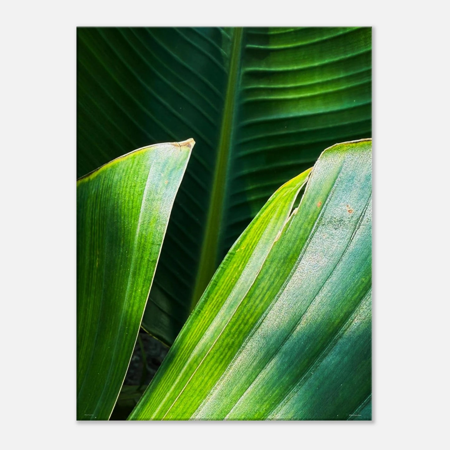 dce01744-194f-4a2d-adca-6cf39a6137d7