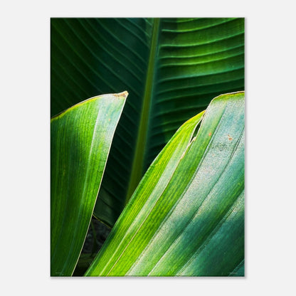 dce01744-194f-4a2d-adca-6cf39a6137d7