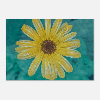 dd286cef-d2ad-479b-a4dd-e49caefcfc47