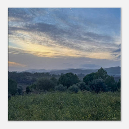 dd2a9395-c787-4fc3-bb77-26e5d7cc8c60