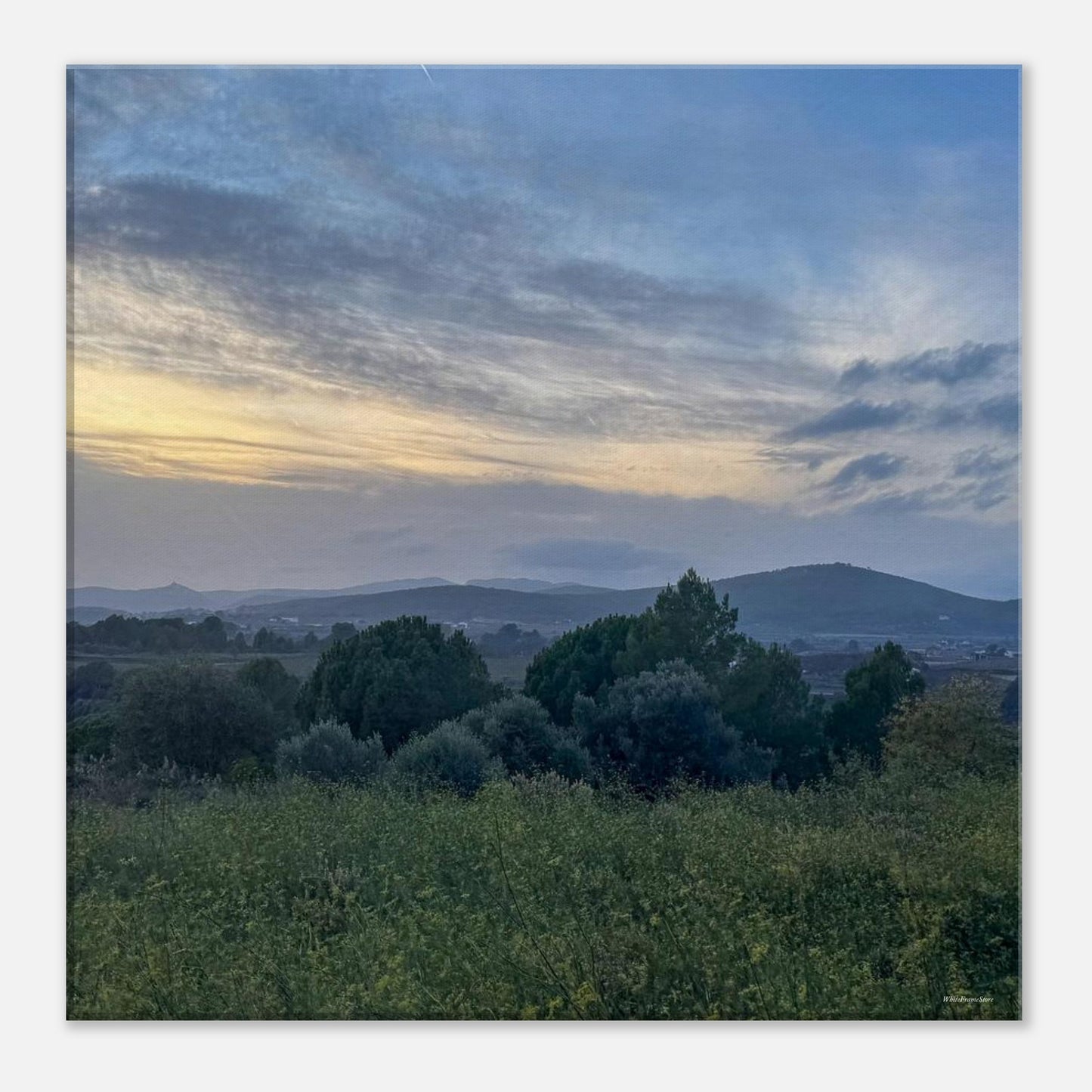 dd4503c0-daaa-4df5-a81a-639877a80d1a