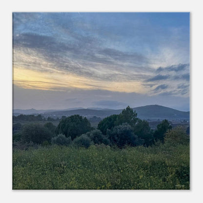 dd4503c0-daaa-4df5-a81a-639877a80d1a