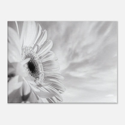 dd53a4b7-f839-41cf-a9f6-25d93c8d9964