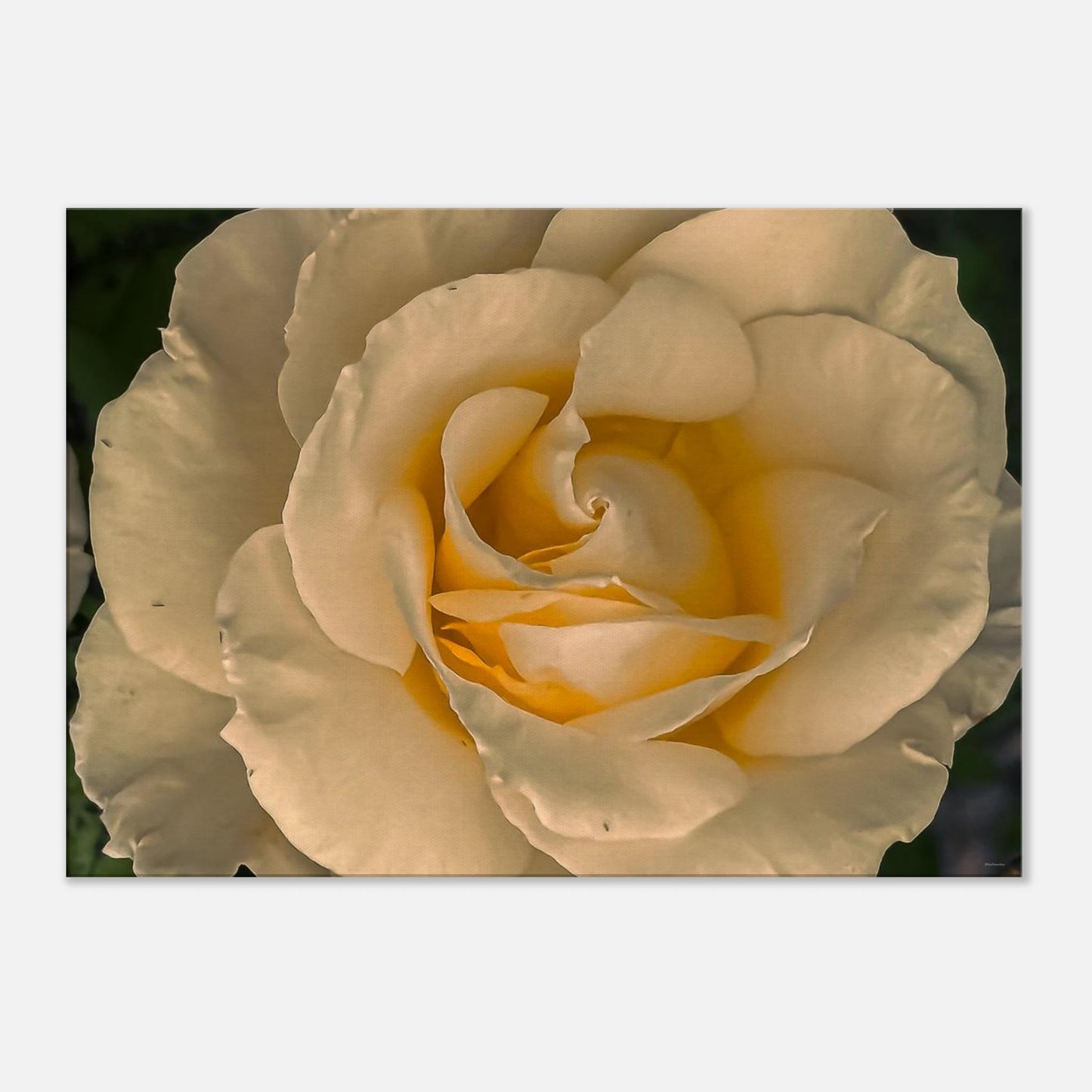 dd8b992a-7f9b-4593-beec-24e69cc87f77