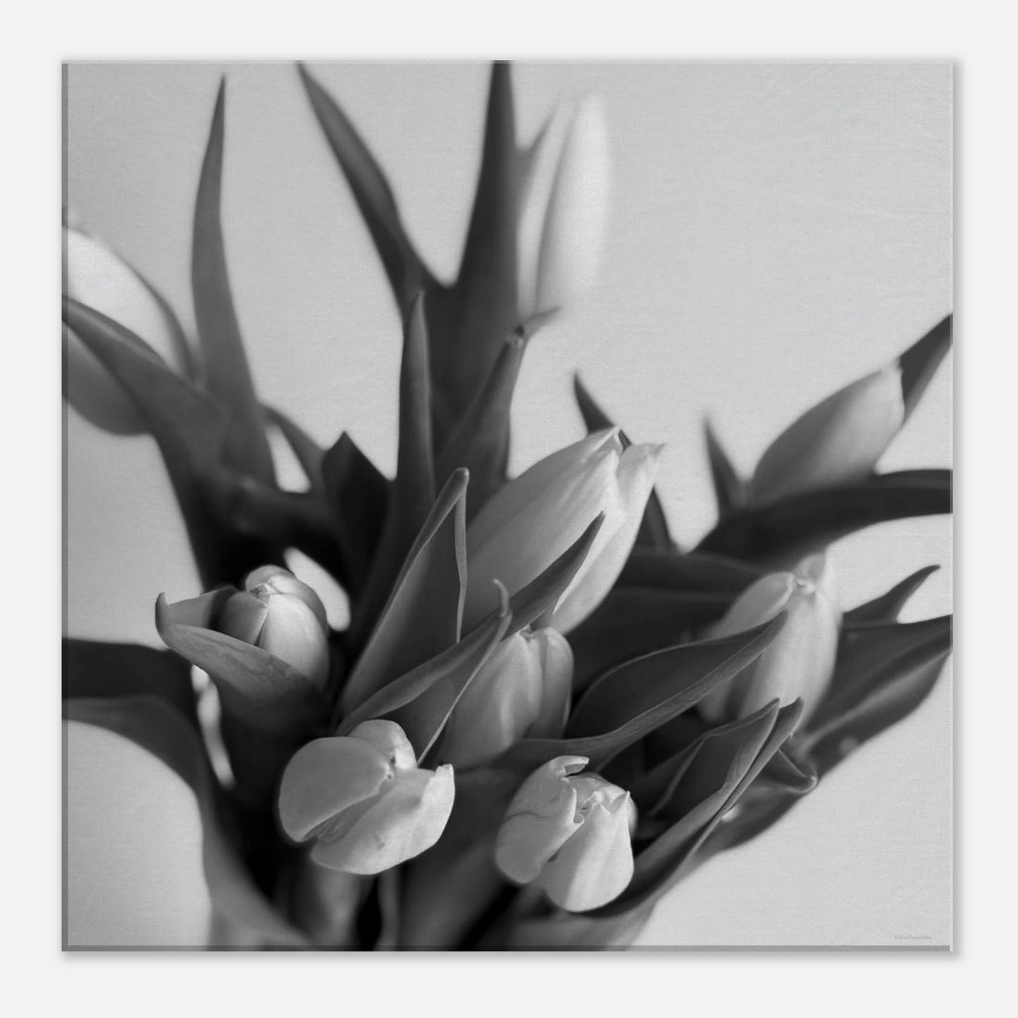 dd98bece-a87b-4964-a6a1-37df094bb0ab