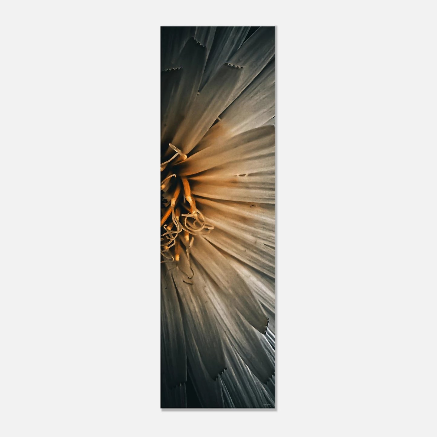 dda298ef-fd02-4c3c-9cff-fb087f91c46b