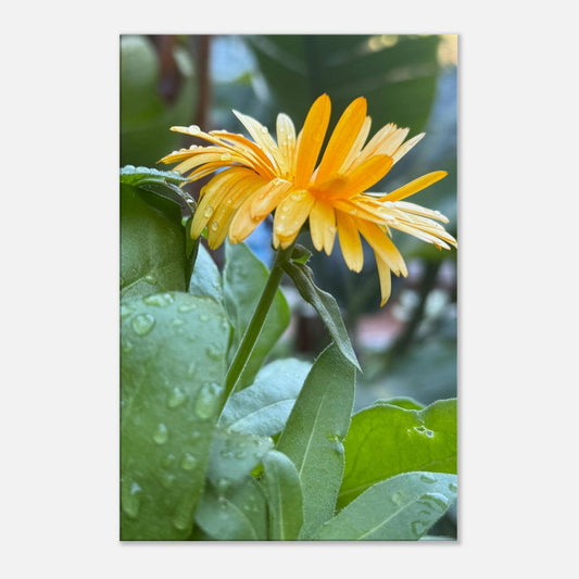 ddcc1044-4b55-435b-a515-189718f1e8f2