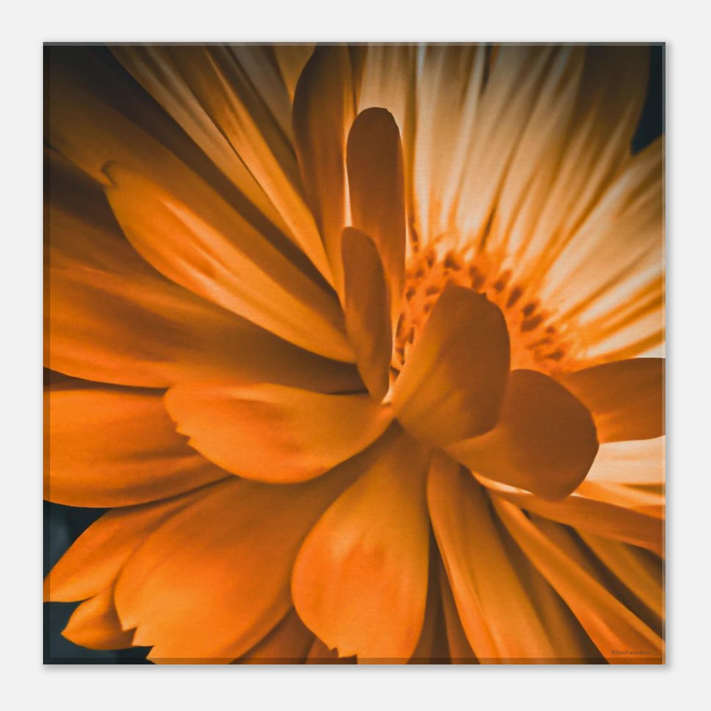 de01bfd9-44c0-4e99-91e1-edc5ad3ea294