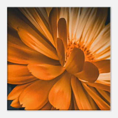 de01bfd9-44c0-4e99-91e1-edc5ad3ea294