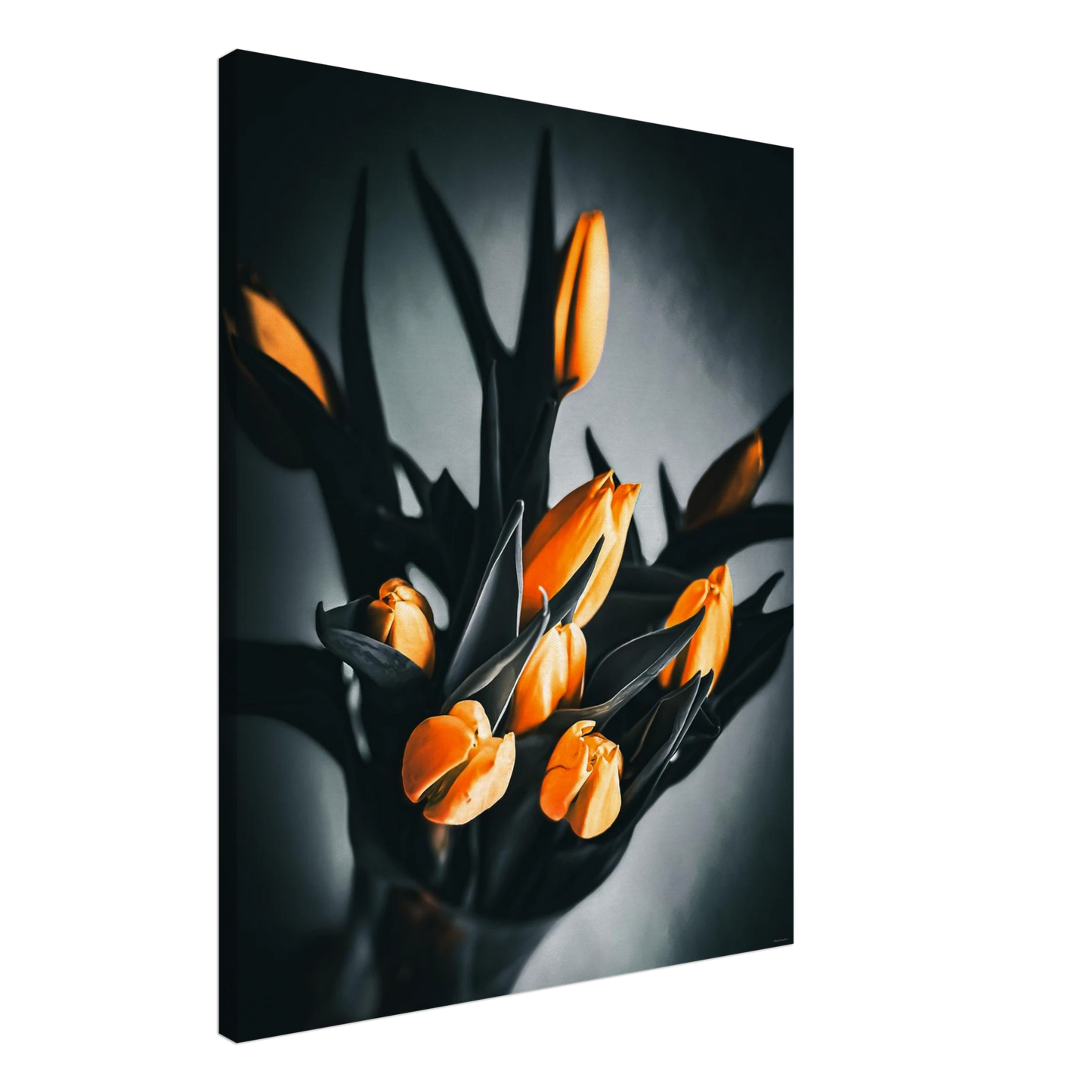 de15d8ad-c9ef-4ba9-8df5-23cbf9a54a67