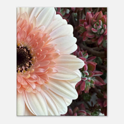 de29564e-1e93-4238-b412-840b73917187