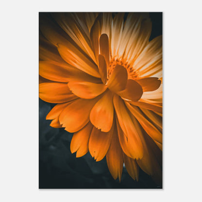 de2e7bcb-1041-4bf1-85b7-a29b82e74271