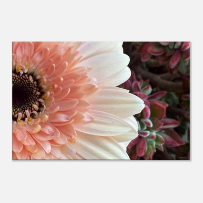 de517b47-fff3-4aa9-9c8c-35fa92f7ab5c